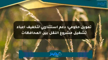 تمويل حكومي: دعم استثنائي لتخفيف أعباء تشغيل مشروع النقل بين المحافظات